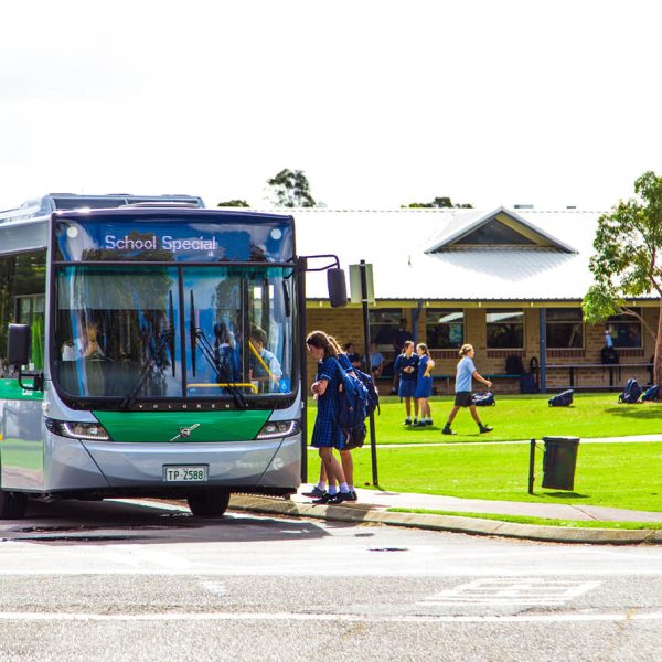 Buses